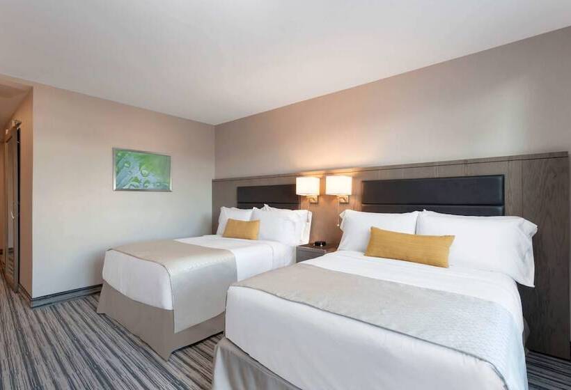 Номер Стандарт Адаптированный для Инвалидов, Wyndham Garden Laguardia South
