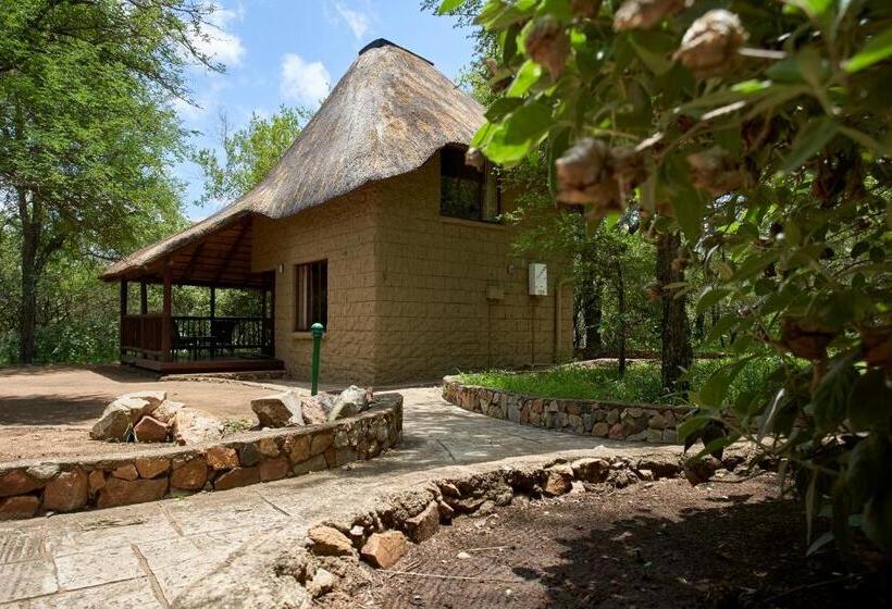 اتاق لوکس چهار تخته, Grand Kruger Lodge And Spa