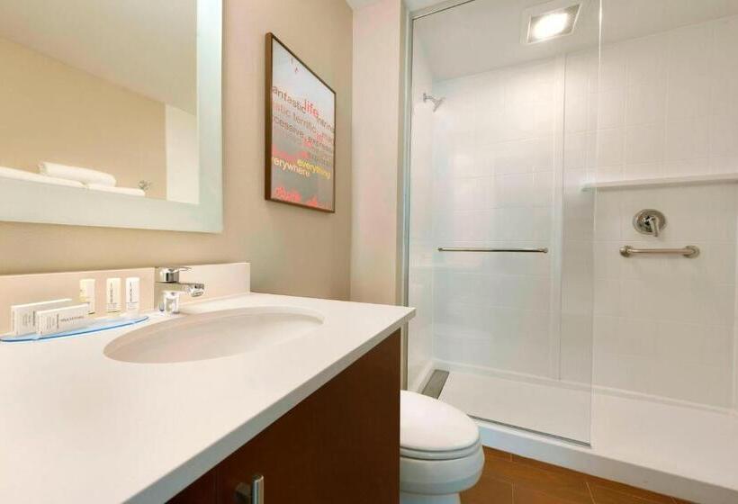 استودیوی استاندارد, Towneplace Suites By Marriott Pittsburgh Airport/robinson Township