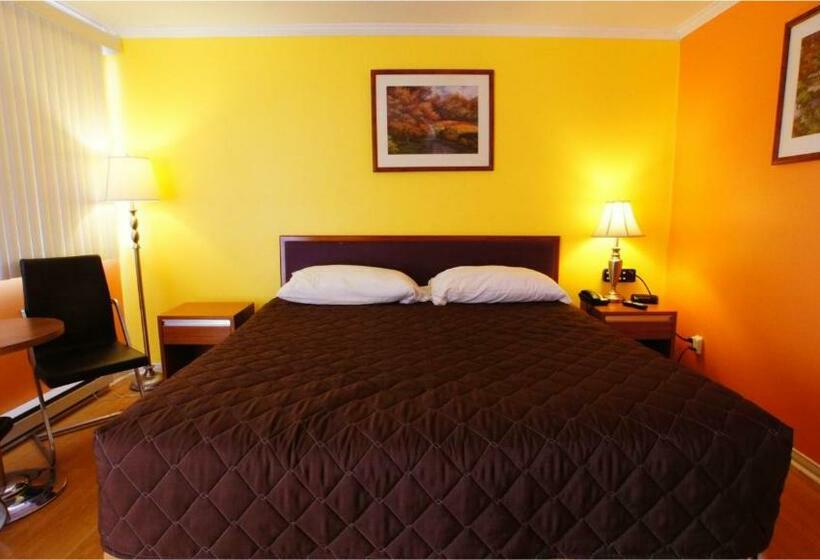스탠다드 룸 킹사이즈 침대, Harmony Inn