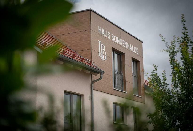디럭스 룸, Sonnenhalde Landgasthof Bieg