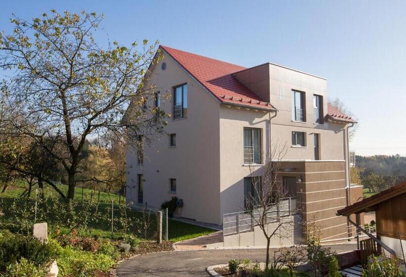 디럭스 룸, Sonnenhalde Landgasthof Bieg