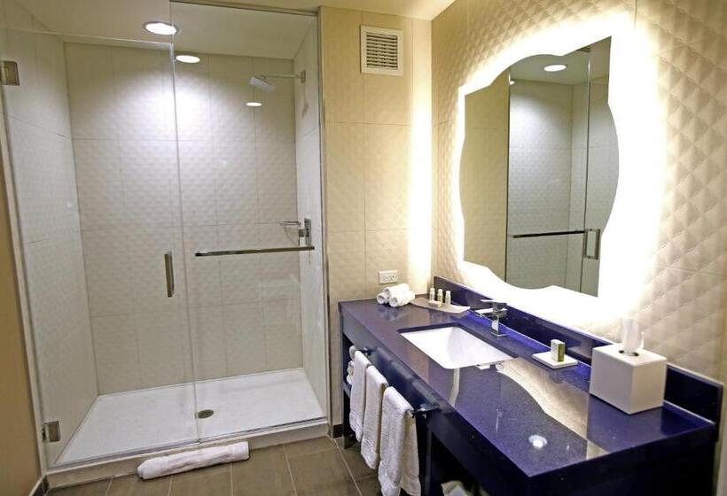 Deluxe Handicapværelse, Indigo Naperville Riverwalk, An Ihg