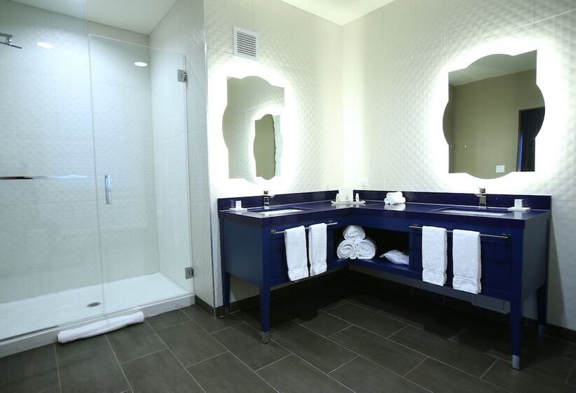 Suite med Balkon, Indigo Naperville Riverwalk, An Ihg