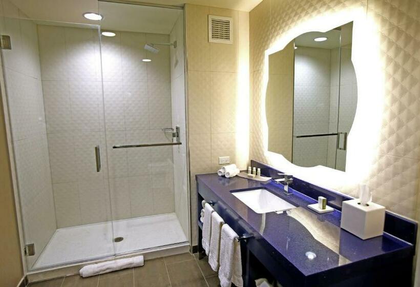 Suite, Indigo Naperville Riverwalk, An Ihg
