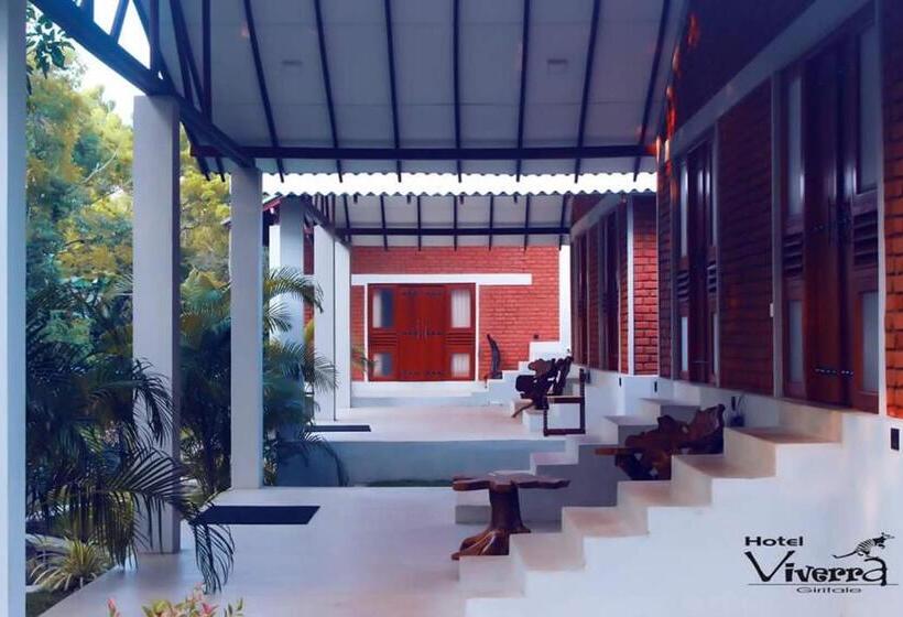 Трехместный Номер Deluxe, Viverra