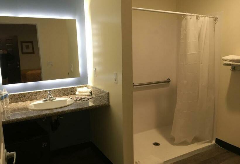 스탠다드 룸, Lincoln Park Motel