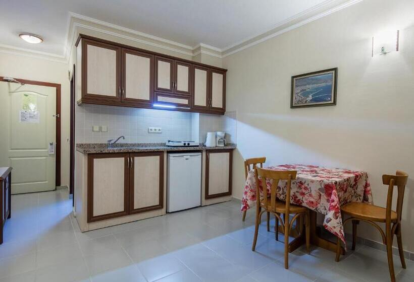 Apartamento 1 Dormitório com Sacada, May Flower Apart