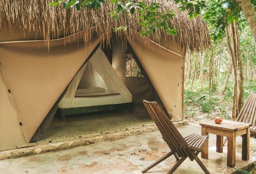 キングサイズベッドのスタンダードルーム, Akumal Natura Glamping