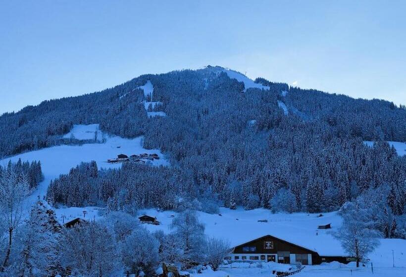 Полулюкс, Alpenhof