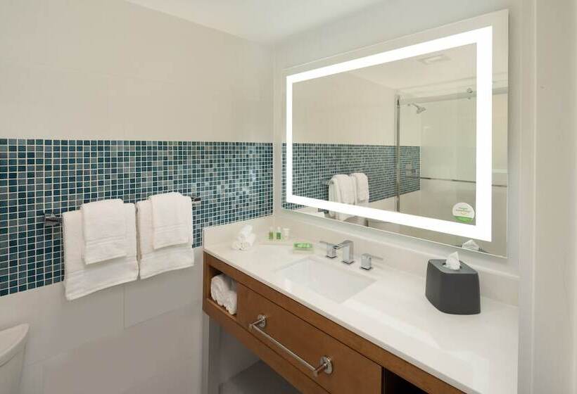 Люкс, Doubletree By Hilton Miami North I 95