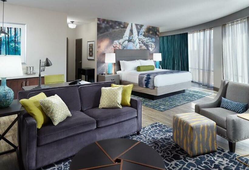 Номер Стандарт, Indigo Tuscaloosa Downtown, An Ihg