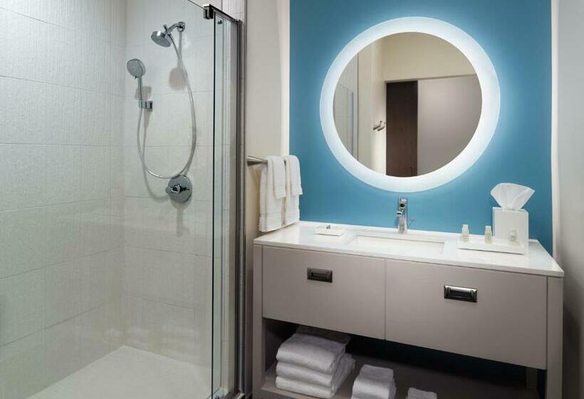 Номер Стандарт, Indigo Tuscaloosa Downtown, An Ihg