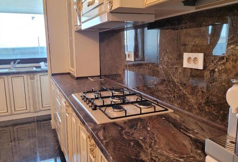 آپارتمان 2 خوابه, Terrace Suites Iasi