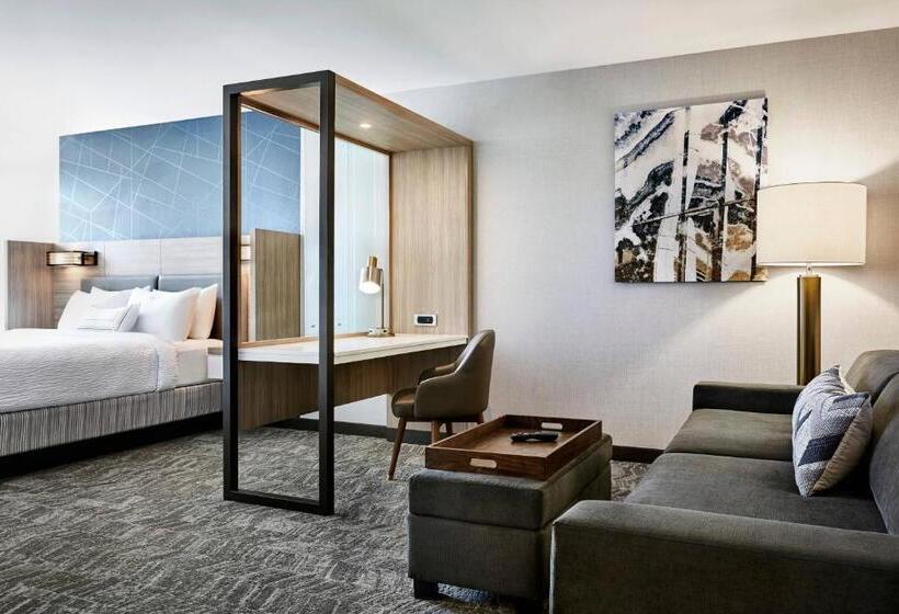Студия Superior, Springhill Suites By Marriott Oklahoma City Midwest City Del City