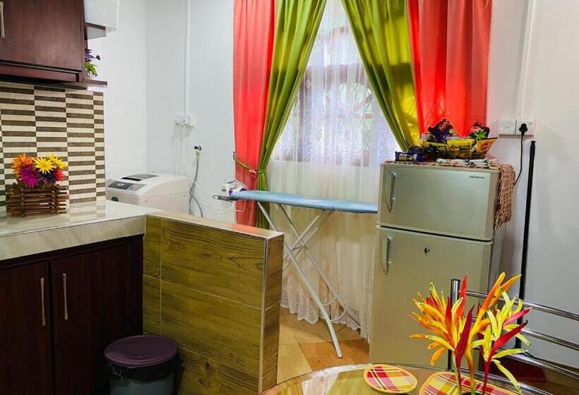 Apartamento 1 Dormitório com Sacada, Antonio Transit Katunayake