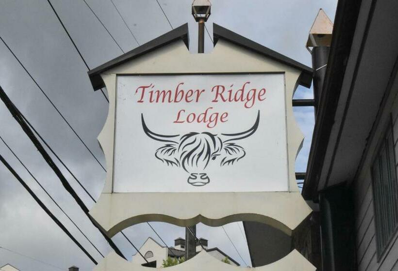 اتاق استاندارد, Timber Ridge Lodge Gatlinburg