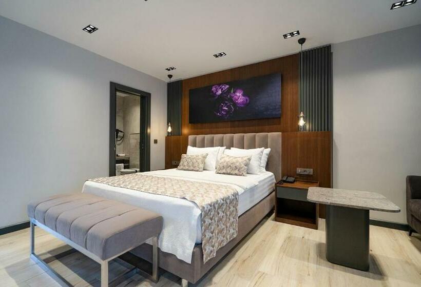 اتاق استاندارد با تخت بزرگ, La Miel Suites