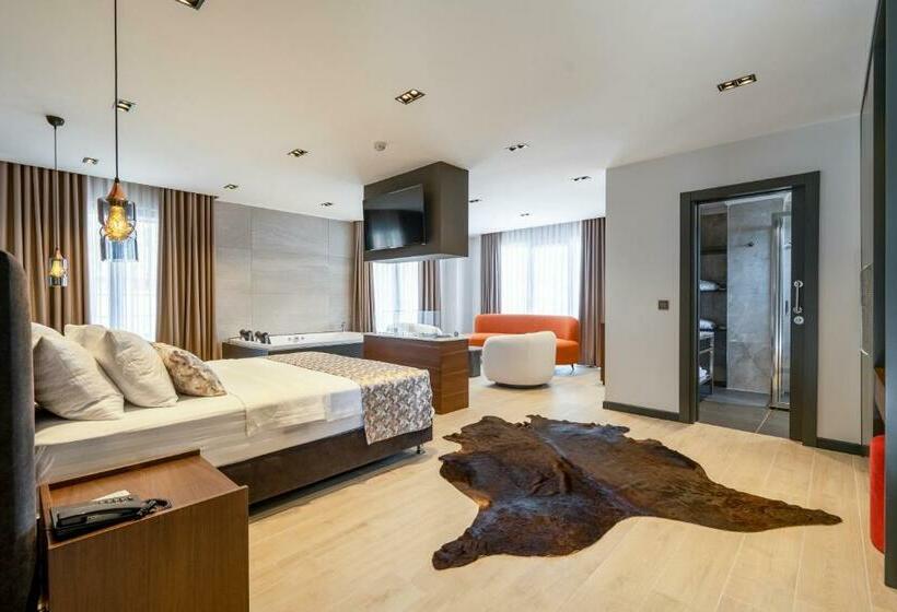 اتاق استاندارد با تخت بزرگ, La Miel Suites