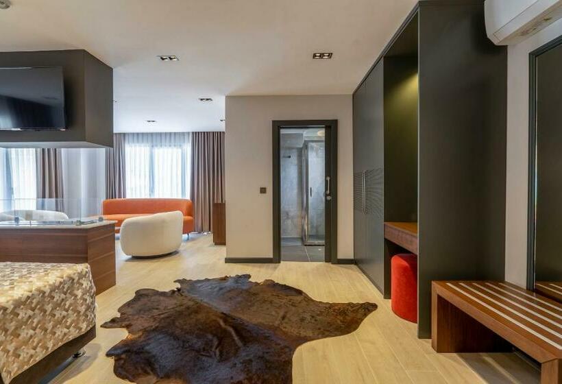 اتاق استاندارد با تخت بزرگ, La Miel Suites