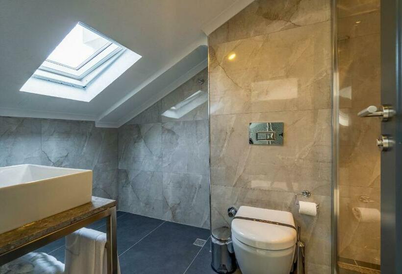 اتاق استاندارد با تراس, La Miel Suites