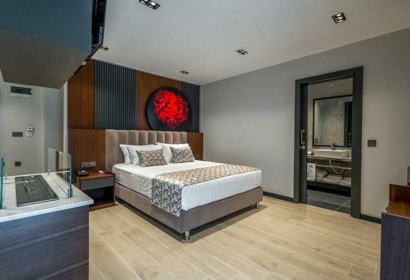 اتاق استاندارد با تخت بزرگ, La Miel Suites