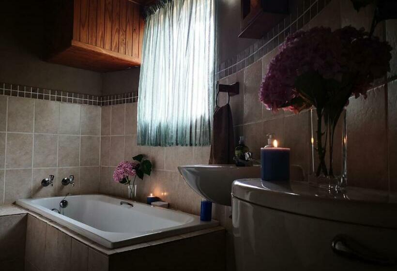 Хижина, Dublin Guest House