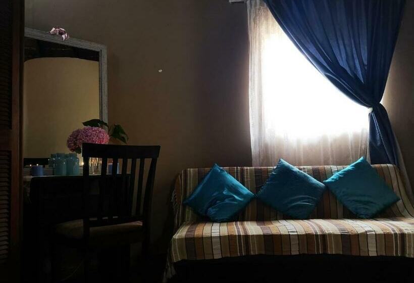 Хижина, Dublin Guest House