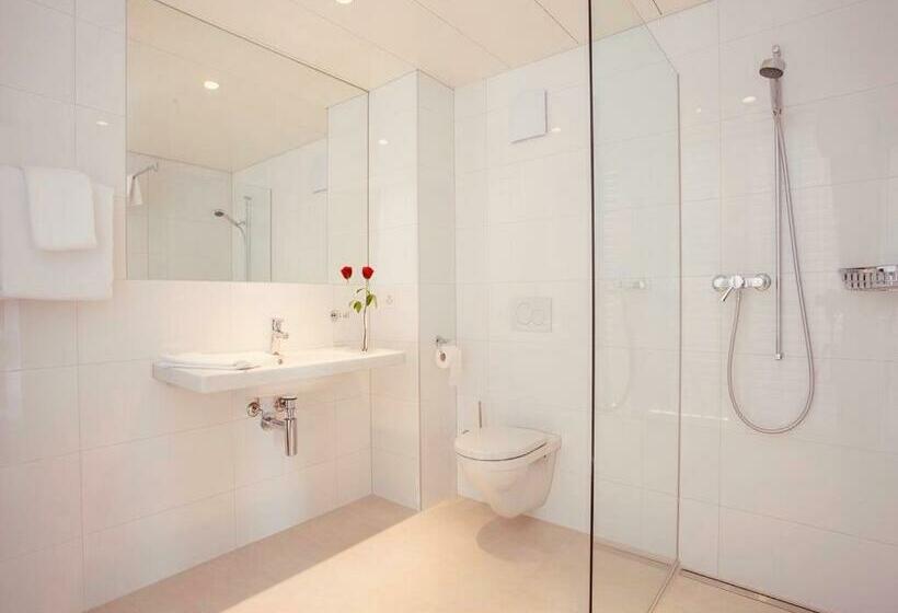 Студия Superior, Los Lorentes Hotel Bern Airport