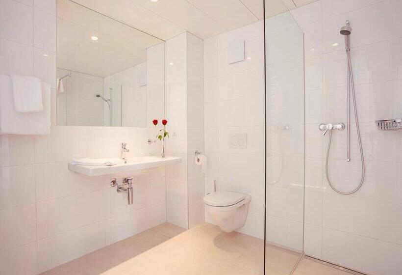 Апартаменты 1 Спальня с Террасой, Los Lorentes Hotel Bern Airport