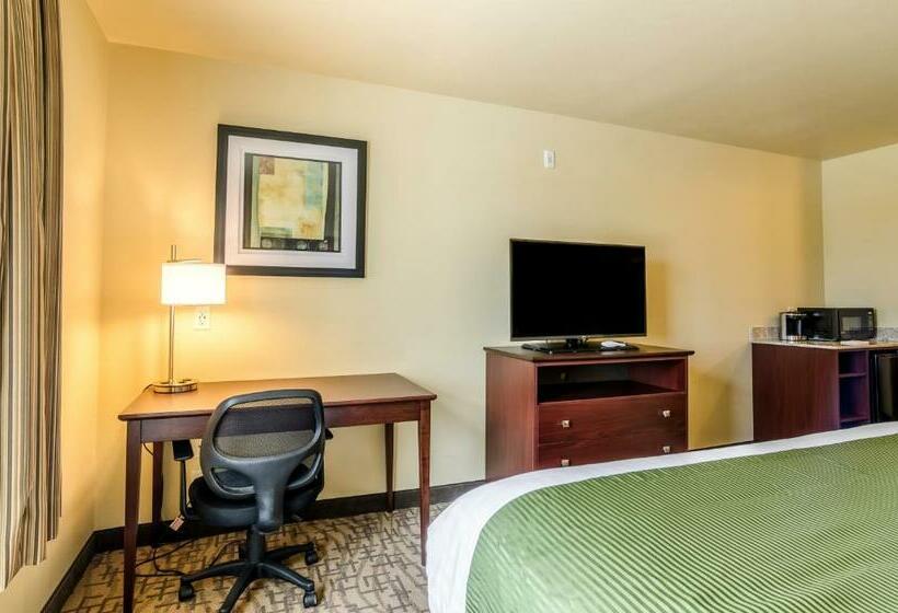 스탠다드 룸, Cobblestone Inn & Suites  Oberlin