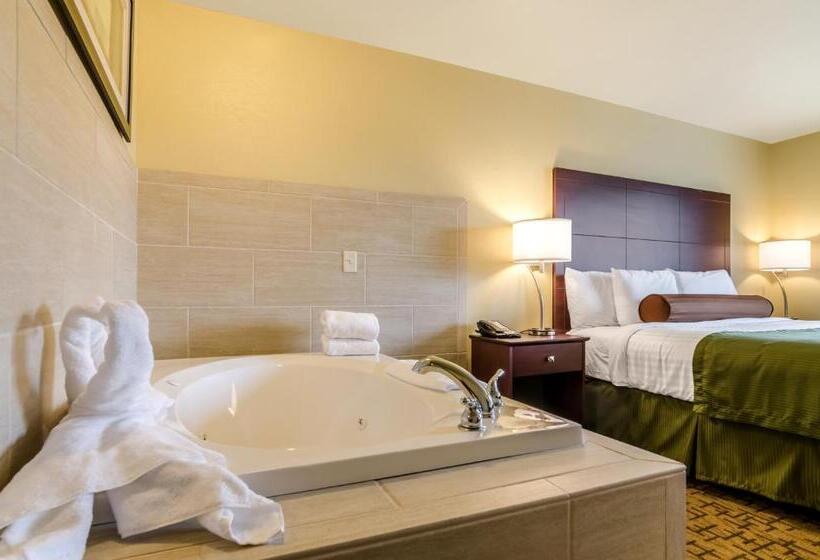 스위트 킹사이즈 침대, Cobblestone Inn & Suites  Oberlin