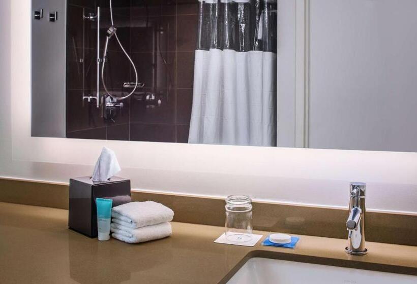 스탠다드 룸 킹사이즈 침대, Hyatt House New York/chelsea