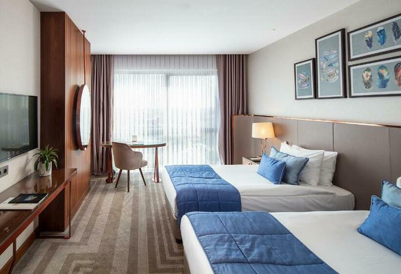 غرفة سوبيريور, Lionel Hotel Istanbul