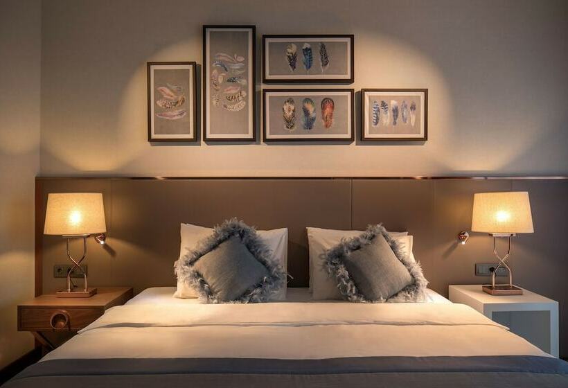غرفة سوبيريور, Lionel Hotel Istanbul