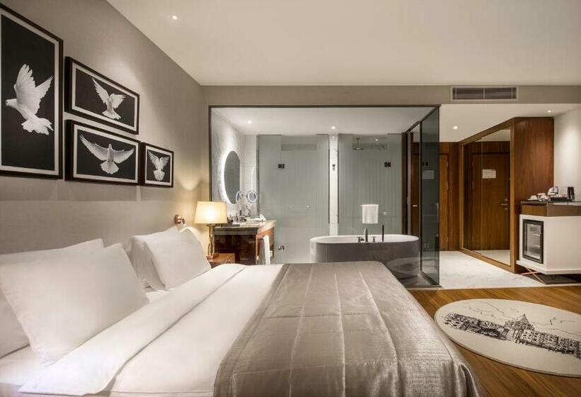 غرفة إدارية سرير كينج, Lionel Hotel Istanbul
