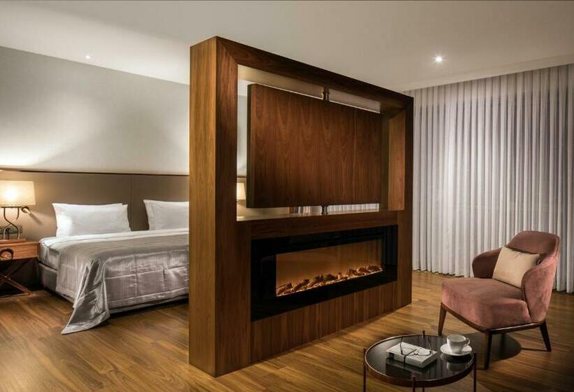 جناح جونيور ذات إطلالة, Lionel Hotel Istanbul
