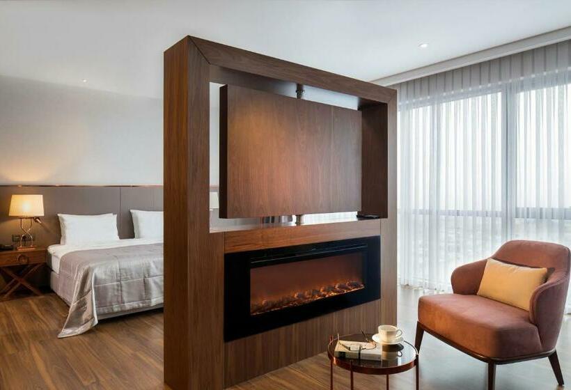 جناح جونيور ذات إطلالة, Lionel Hotel Istanbul