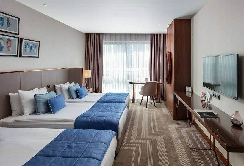 غرفة ديلوكس, Lionel Hotel Istanbul