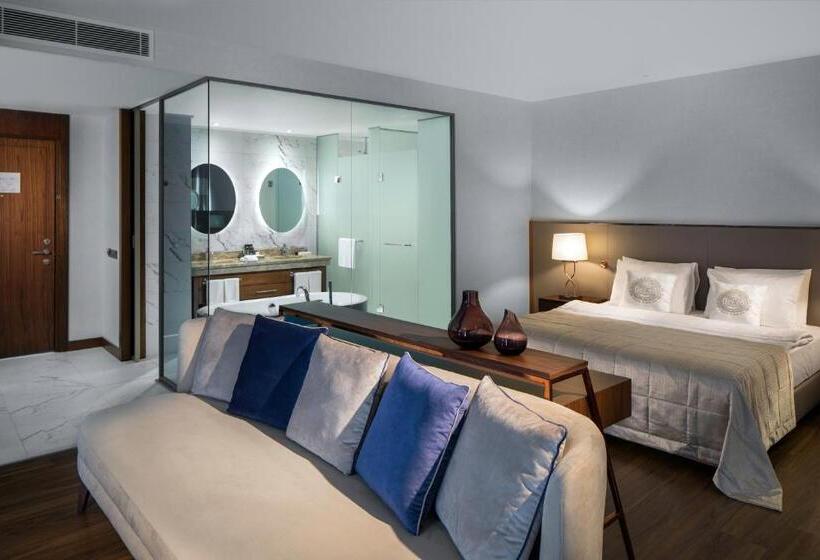 جناح ذو إطلالة, Lionel Hotel Istanbul