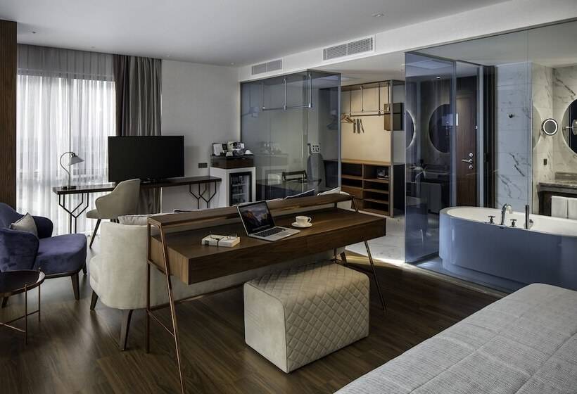 جناح ذو إطلالة, Lionel Hotel Istanbul