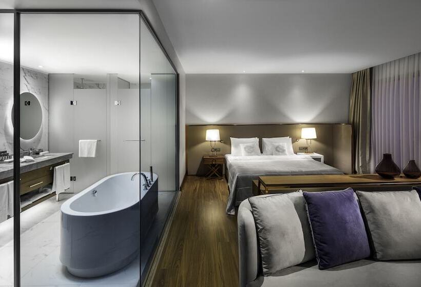 جناح ذو إطلالة, Lionel Hotel Istanbul