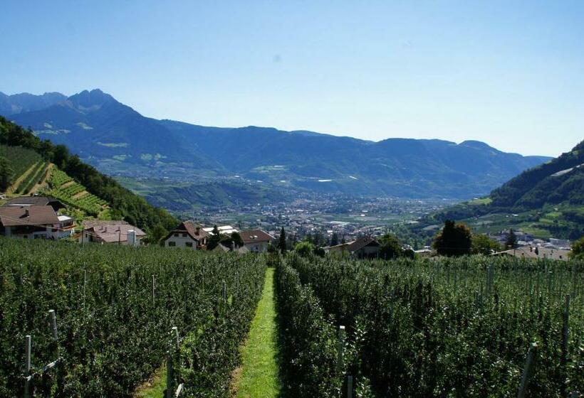 Номер Стандарт Вид на Горы, Oberangerhof