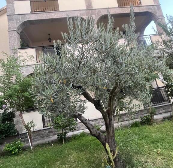 استودیو استاندارد با تراس, Casa Maruca