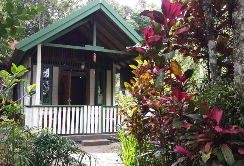 Бунгало Стандарт, Mi Casa   The Gem Of Ijen