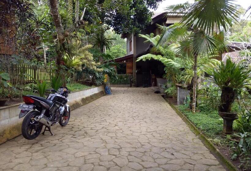 Бунгало Стандарт, Mi Casa   The Gem Of Ijen