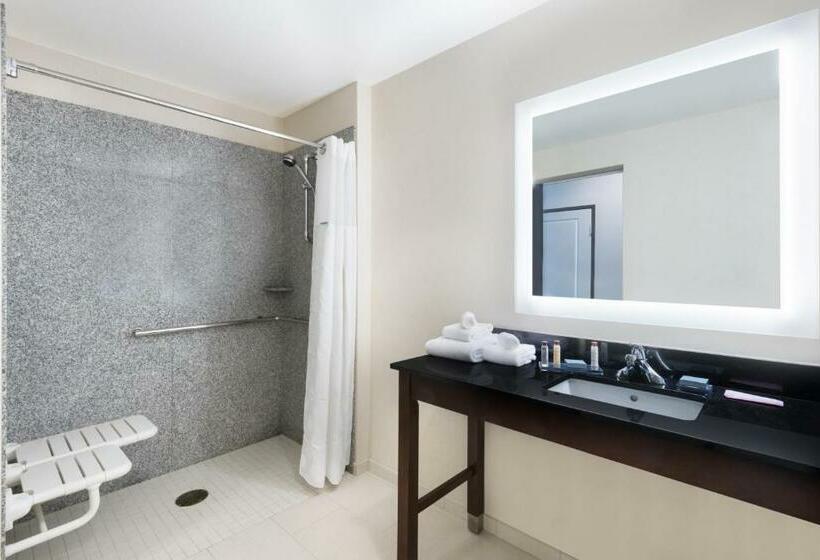 장애인을 위한 킹사이즈 침대 스탠다드 룸, Wingate By Wyndham Sidney