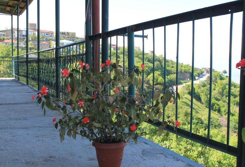 اتاق استاندارد, Guest House Shota