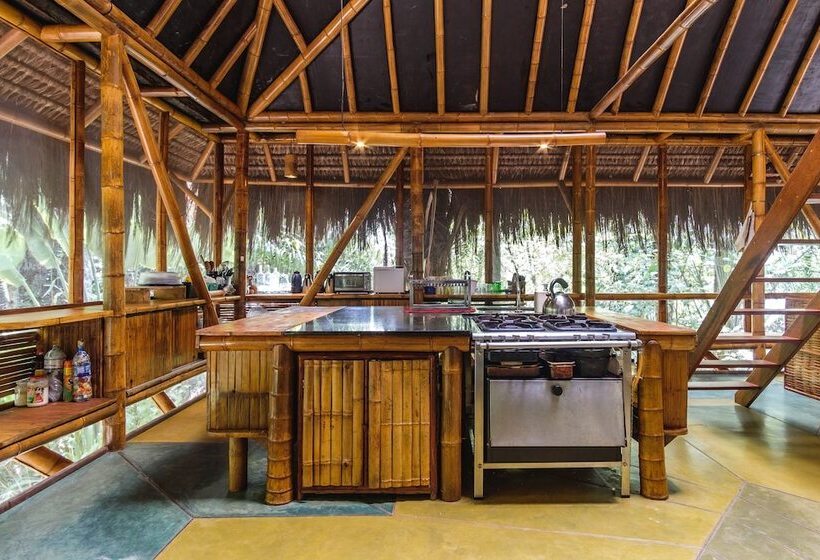 بانگلوی استاندارد, Universo Pol Bamboo Hostel
