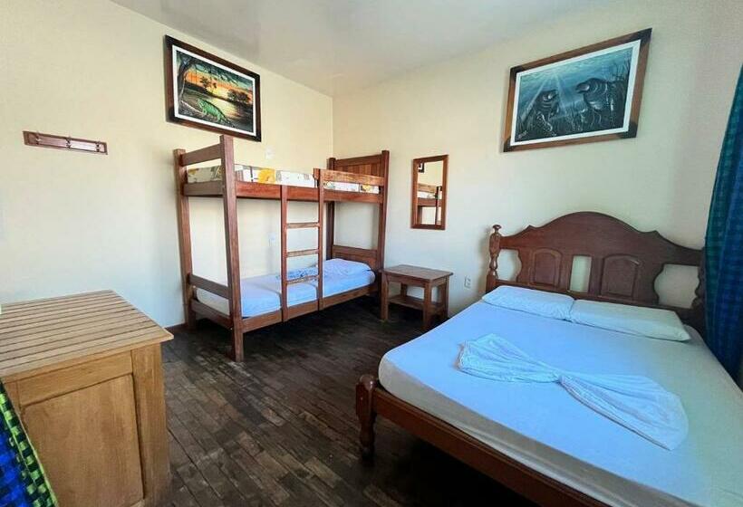 اتاق استاندارد با سرویس بهداشتی مشترک, Hostel Manaus